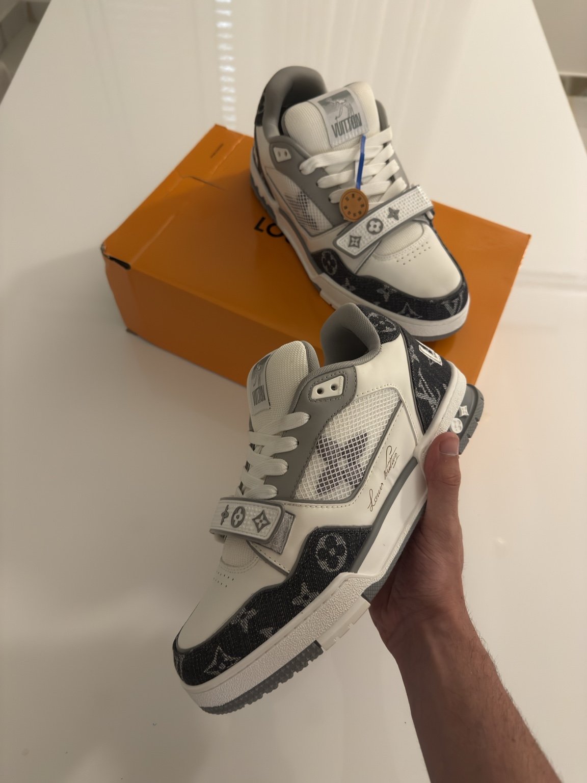 Louis Vuitton Trainer — Grigie